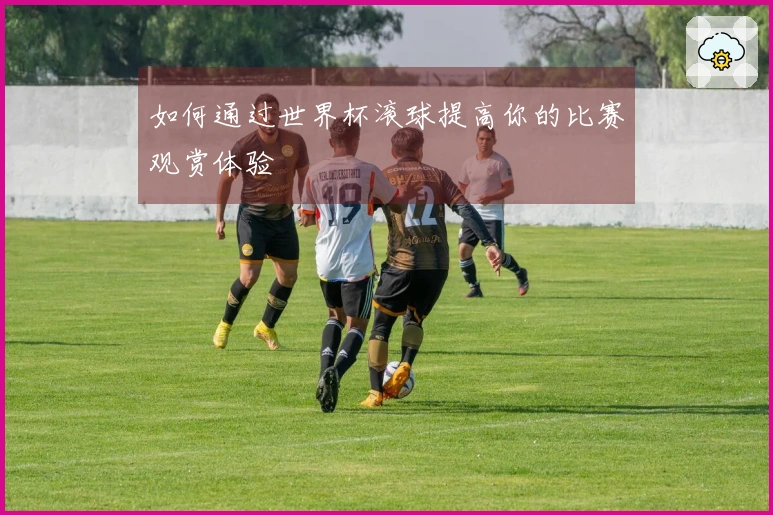 如何通过世界杯滚球提高你的比赛观赏体验