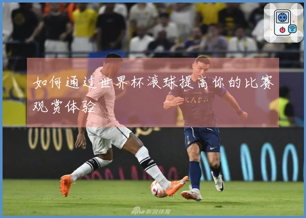 如何通过世界杯滚球提高你的比赛观赏体验