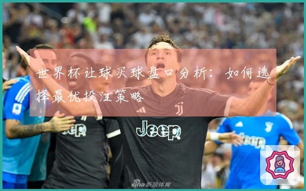 世界杯让球买球盘口分析：如何选择最优投注策略